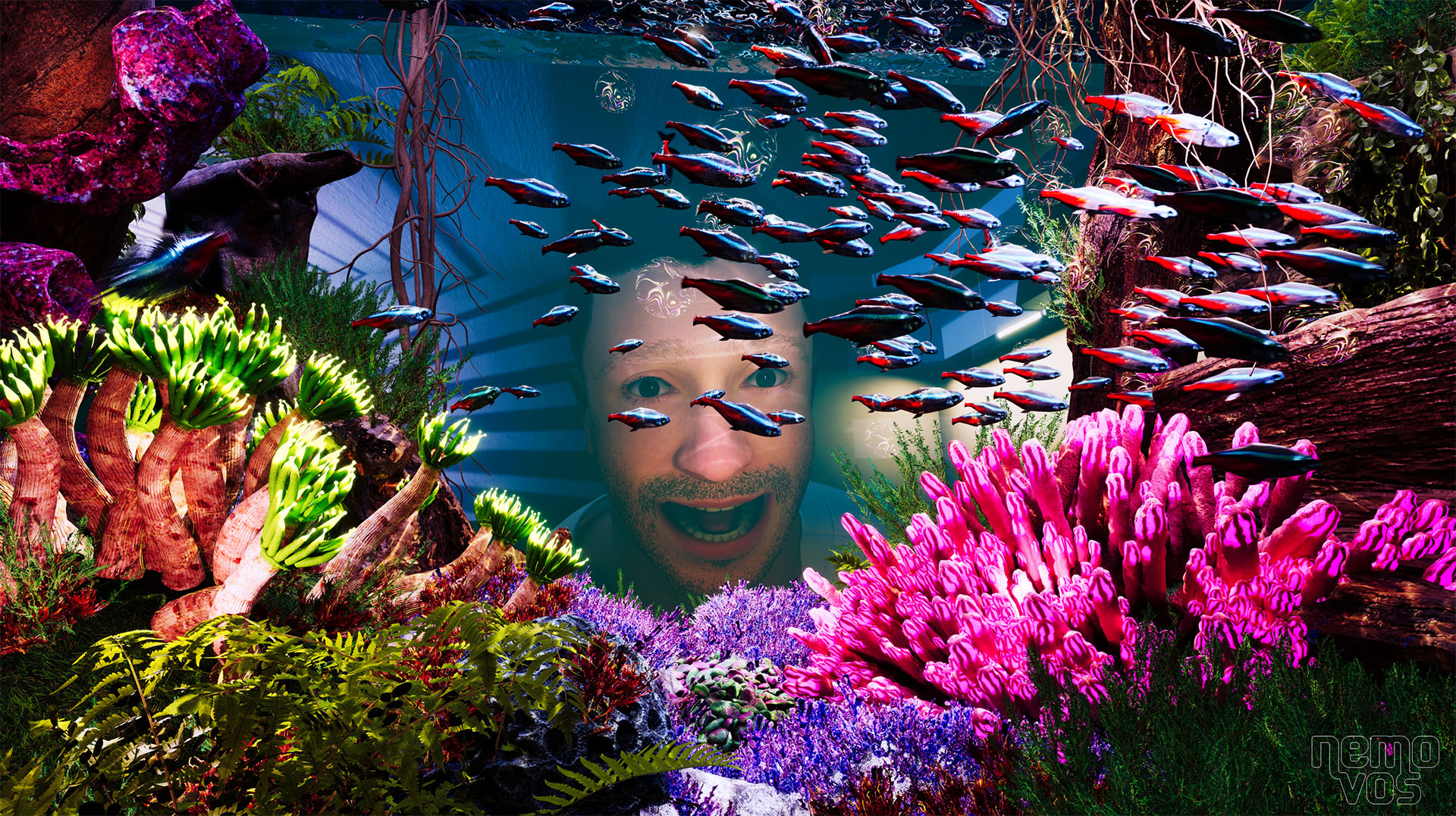 Hier is dag drie: Tetsuo, Nieuw Nederlands Peil en VR